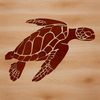 A detailed illustration of a sea turtle in various poses, suitable for use as clip art or vector design.