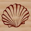 A detailed illustration of a seashell, ideal for seaside-themed designs and crafts.