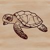 A realistic illustration of a sea turtle in its natural habitat, highlighting the animal's distinctive shell and flippers.