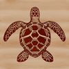 Oceanic Wildlife Illustration Illustration of a sea turtle swimming in the ocean, a common wild animal found in seaside environments.