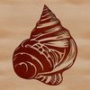 Seaside Treasures Illustration A detailed illustration of a seashell, ideal for vector design projects.
