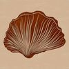 A vector illustration of a seashell found on the seaside during a vacation.