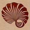Beautiful Ocean Treasure An intricate vector design of a seashell, ideal for use in crafting projects or digital artwork.
