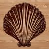 A stylized illustration of a seashell suitable for vector design, perfect for use in graphics, prints, or digital art.