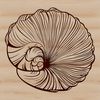 SVG Decorative Shells for Crafts A decorative seashell design created as a vector graphic.