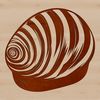 Beautiful Seashell Design Vector A stylized illustration of a seashell, suitable for vector design and digital art.