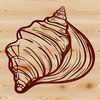 A stylized illustration of a seashell in vector format, suitable for digital use.