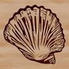Free Vector Beach Decor Clip Art A detailed illustration of a seashell with intricate textures and patterns, ideal for use in vector design projects.