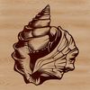 Detailed Vector Seashell Design A detailed illustration of a seashell, suitable for various design applications.