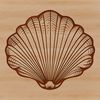 Vector Seashell Design for Personal Projects A single seashell, isolated on a white background, with intricate details and shapes.
