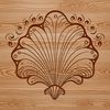 A stylized illustration of a seashell suitable for various design projects.
