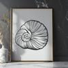 Unique Seashell - Laser Engraver PNG Free Download