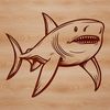 A vector illustration of a shark, a sea creature and wild animal.