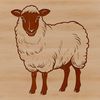 Adorable Sheep Graphic for Design An illustration of a farm animal, a single sheep standing on green grass.