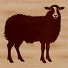 A detailed illustration of a sheep, suitable for vector art projects.