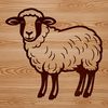 Grassy Field Sheep A single sheep standing on a grassy field.