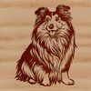 Shetland Sheepdog Sitting in a Vector Image A vector illustration of a sitting Shetland sheepdog.