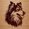 A close-up illustration of the head and face of a Shetland Sheepdog breed dog.