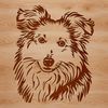 Distinctive Facial Features Dog Breed Image A portrait of a Shetland sheepdog breed dog's head with distinct facial features.
