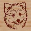 Shetland Breed Dog Illustration Shetland sheepdog breed illustration in vector format.