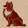 A Shetland sheepdog sitting on a background.