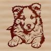 Close-up illustration of a calm Shetland sheepdog lying down.