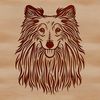 Vector illustration of a Shetland dog's adorable face. Close-up vector design of a Shetland dog's face.