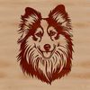 Shetland Sheepdog SVG Design A portrait illustration of a Shetland sheepdog's head in vector format.