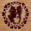 Shetland Sheepdog Breed Profile A small to medium-sized dog breed with a wedge-shaped head and erect ears.