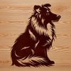 Calm Canine Companion Vector Illustration A portrait of a Shetland Sheepdog sitting calmly, depicted as vector art.
