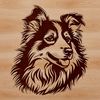 Free Vector Shetland Sheepdog Head A portrait illustration of a Shetland sheepdog's head with fur details.