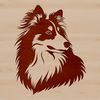 An illustration of a Shetland sheepdog's head, suitable for use as vector art.