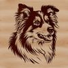 Vector Art Shetland Head Design A detailed illustration of a Shetland sheepdog's head, designed as vector art suitable for various applications.