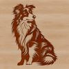Sitting Sheltie Breed Illustration A illustration of a sitting Shetland sheepdog breed with details suitable for cutting machine stencils or laser cutting.
