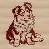Illustrated portrait of a seated Shetland sheepdog breed dog with vector design elements.