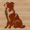 Cute Sheltie Illustration A detailed illustration of a sitting Shetland sheepdog, suitable for vector design projects.