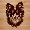 Shetland Sheepdog Profile Illustration A high-resolution vector image of a Shetland sheepdog in profile, suitable for various designs and crafts.