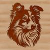 Detailed Shetland Sheepdog Portrait A detailed illustration of a Shetland sheepdog's head, suitable for vector design or clip art projects.