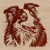 Lovely Shetland Sheepdog SVG Image A portrait illustration of a Shetland sheepdog with its head held high.