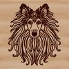 Beautiful Shetland Sheepdog Portrait A detailed illustration of the head and face of a Shetland sheepdog breed, suitable for vector design and customization.
