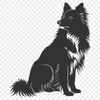 Creative Shetland Sheepdog PDF