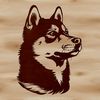 A detailed illustration of a Shiba Inu's head with intricate facial features.