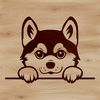 Close-up illustration of a Shiba Inu's face, featuring its distinctive fox-like features and expressive eyes.