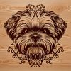 A stylized illustration of a Shih Tzu's head, featuring ornate details.