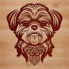 A small breed dog with a flat face and long coat, typical of the Shih Tzu breed.