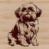 A small breed dog with a distinctive face, sitting comfortably on its haunches.