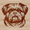 Shih Tzu Face Illustration Vector A portrait illustration of a Shih Tzu's head, suitable as a vector art design.