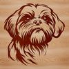 Close-up of a Shih Tzu's head with a cute expression.
