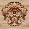 Fluffy Frenchie Alternative: Cuteness in a Coat A small, fluffy Shih Tzu dog with a long coat and friendly expression.