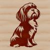 A seated Shih Tzu dog breed illustration in vector format.